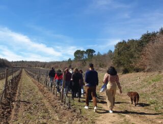 Exploring Château Lafoux vineyard
